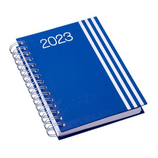 Agenda Diária 2025 Wire-o Personalizada 